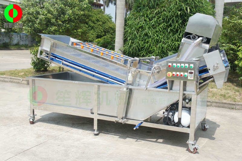 全網鏈輸送洗菜機