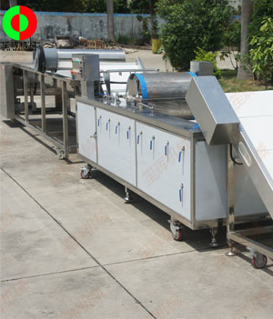 國外客戶訂制的藍(lán)莓自動(dòng)清洗分選生產(chǎn)線順利生產(chǎn)完成測試中！