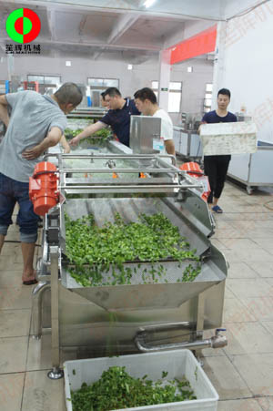 客戶親臨我司實地考察工廠及蔬果切割清洗生產線設備！