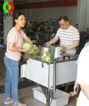 蔬果分瓣機(jī)現(xiàn)場(chǎng)測(cè)試，客戶滿意切割效果！