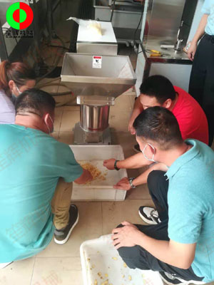 江門客戶謝先生親臨我司測試生姜清洗脫皮及打碎設(shè)備!