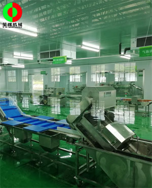 廣西蒙山標準化凈菜加工車間項目，毛菜加工車間順利完工！