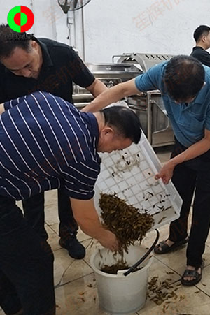 客戶(hù)來(lái)廠(chǎng)測(cè)試驗(yàn)貨果蔬清洗加工設(shè)備!