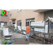 大型蔬果去皮切割清洗生產線(視頻) 大型蔬果去皮切割清洗生產線(視頻)