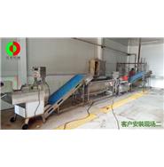 辣椒切割清洗生產線(視頻)