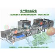 蔬果分選預制冷水清洗保鮮/臭氧水去農殘清洗風干生產線(視頻)