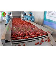 紅棗清洗烘干生產線