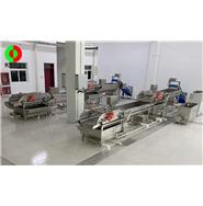 渦流式洗菜生產線（視頻）